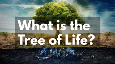 Your Comprehensive Guide to the Tree of Life: Everything You Need to Know About This Fascinating Symbol